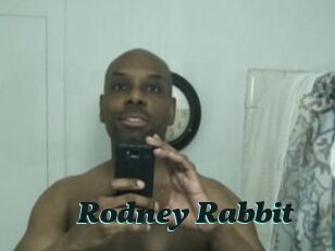 Rodney_Rabbit