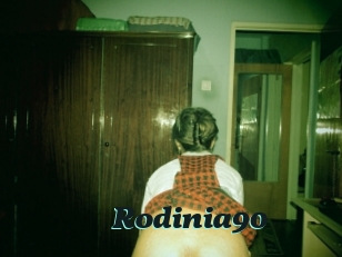 Rodinia90