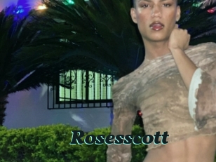 Rosesscott