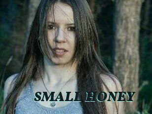 SMALL_HONEY