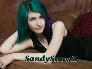 SandySnowX