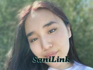 SaniLink