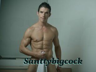 Santtybigcock