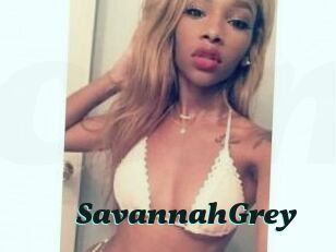 Savannah_Grey