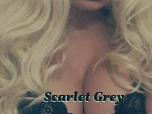 Scarlet_Grey