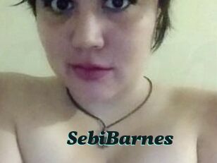 Sebi_Barnes