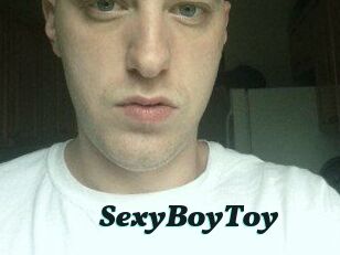 SexyBoyToy