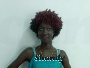 Shandy