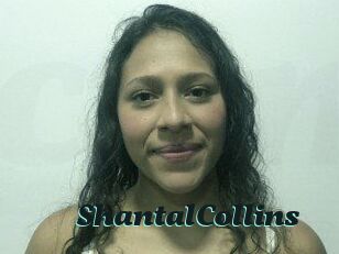 ShantalCollins