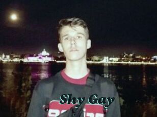 Shy_Gay