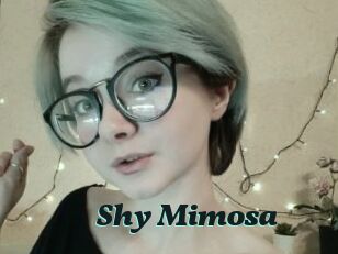 Shy_Mimosa