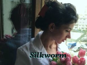 Silkworm