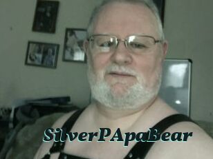 SilverPApaBear