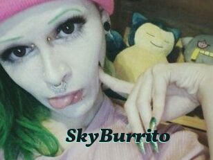 SkyBurrito