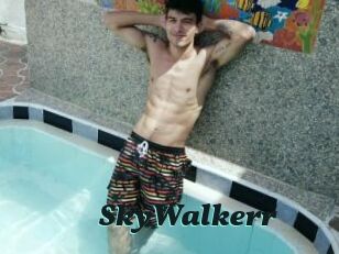 SkyWalkerr