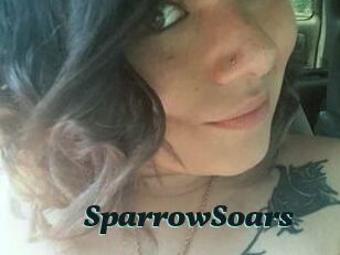 SparrowSoars