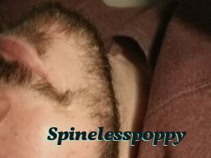 Spinelesspoppy