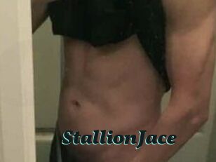 StallionJace