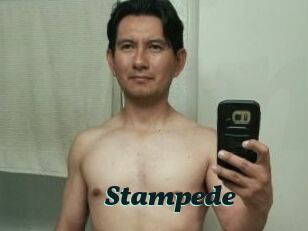 Stampede