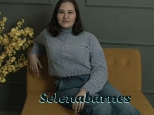 Selenabarnes