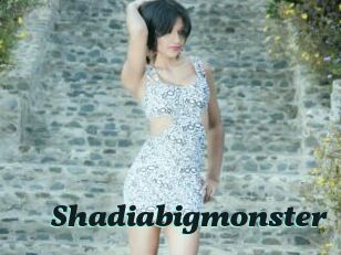 Shadiabigmonster