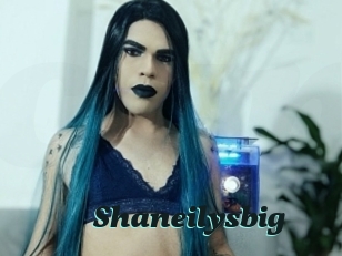 Shaneilysbig