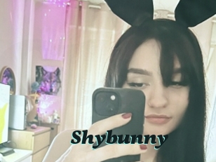 Shybunny