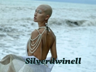 Silverdwinell