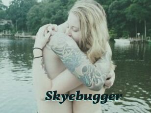 Skyebugger