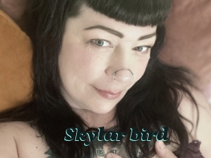 Skylar_bird