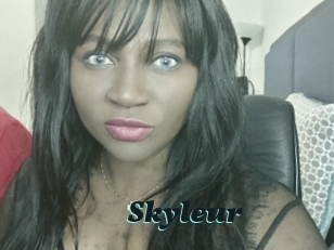 Skyleur