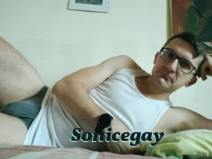 Sonicegay