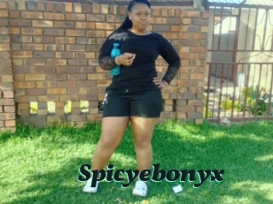 Spicyebonyx