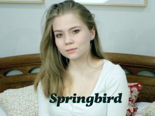 Springbird