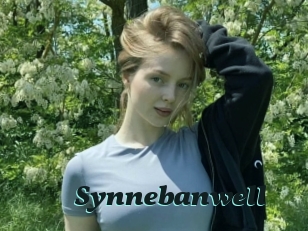 Synnebanwell