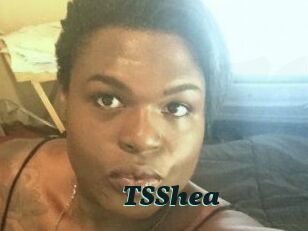 TS_Shea