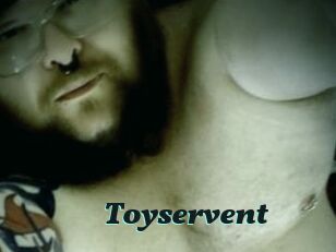 Toyservent Cumshots Videos