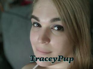 TraceyPup