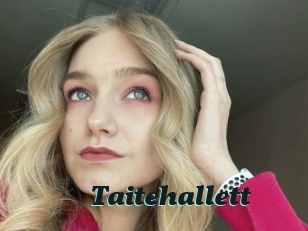 Taitehallett