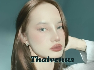 Thaivenus