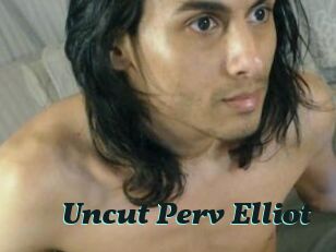 Uncut_Perv_Elliot