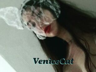 VeniceCat