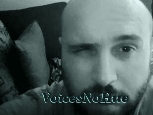 VoicesNoHue