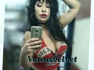 Venusvelvet