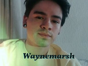 Waynemarsh