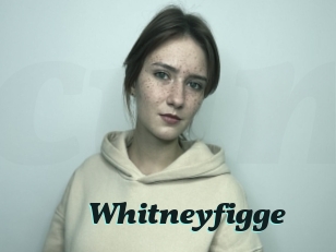 Whitneyfigge