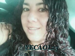 YECAOL23
