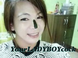 YourLADYBOYcock