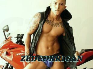 ZEDCORRIGAN Cumshots Videos